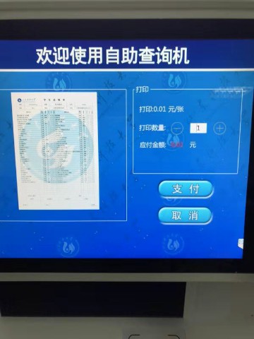 查问打印界面 查问打印界面